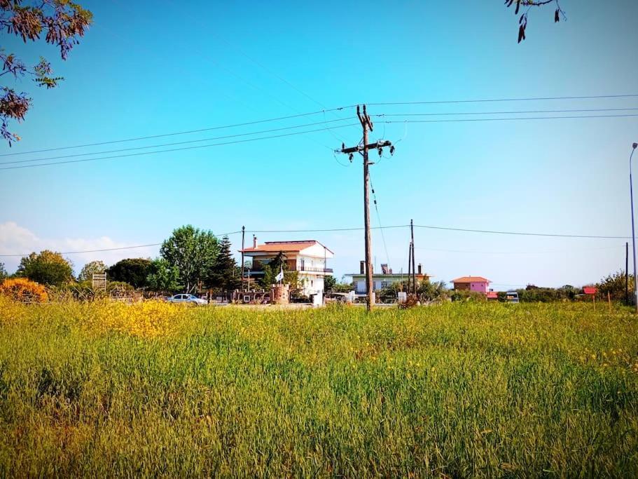 Savvinio Country Apartment อเล็กซานโดรโพลิส ภายนอก รูปภาพ