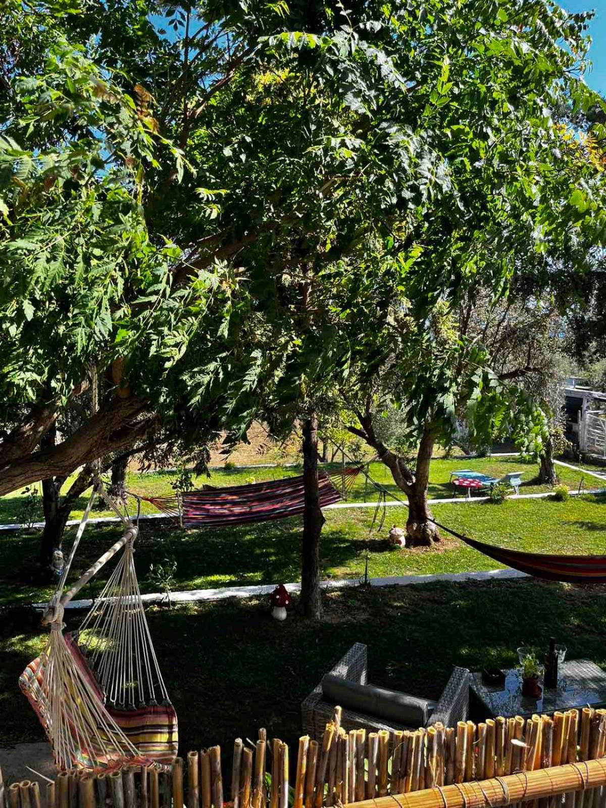 Savvinio Country Apartment อเล็กซานโดรโพลิส ภายนอก รูปภาพ