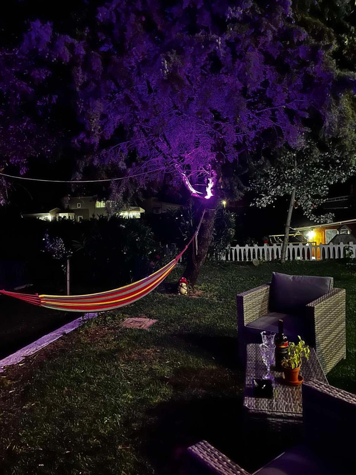 Savvinio Country Apartment อเล็กซานโดรโพลิส ภายนอก รูปภาพ
