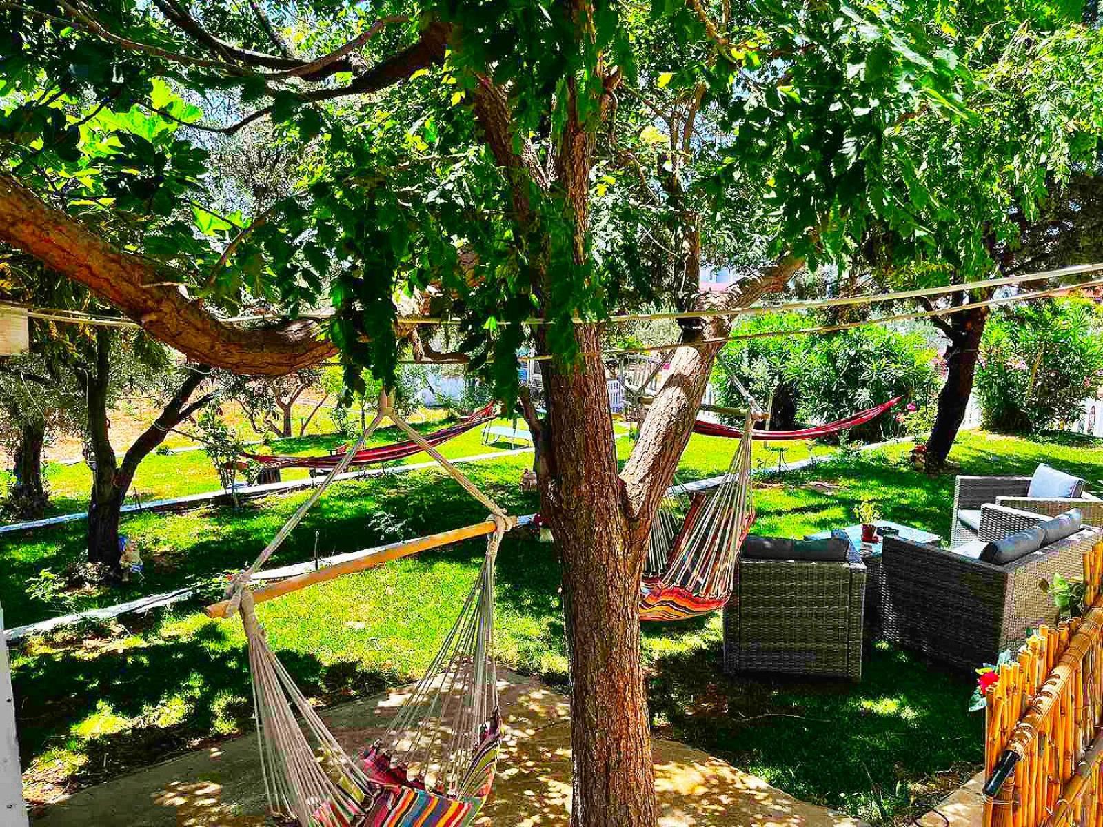 Savvinio Country Apartment อเล็กซานโดรโพลิส ภายนอก รูปภาพ